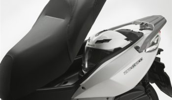 Zenzero 350 full