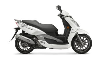 Zenzero 350 full