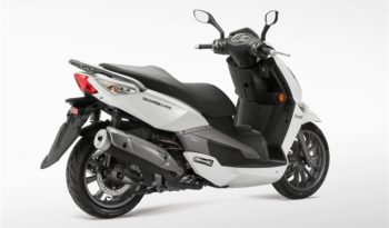 Zenzero 350 full