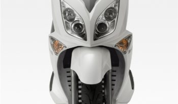 Zenzero 350 full