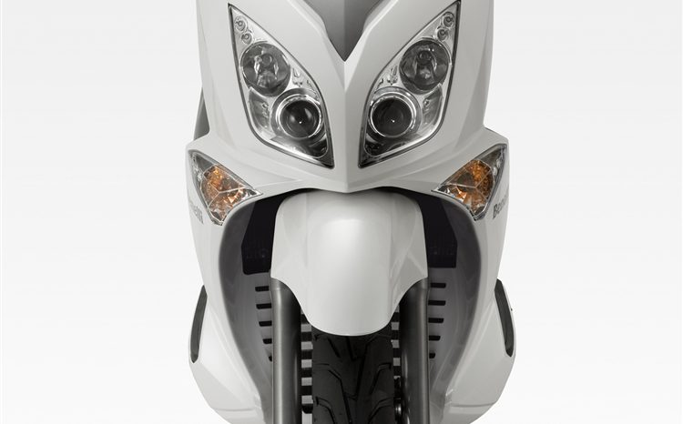 Zenzero 350 full