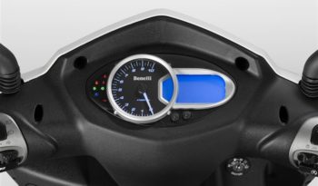 Zenzero 350 full