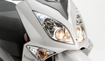 Zenzero 350 full